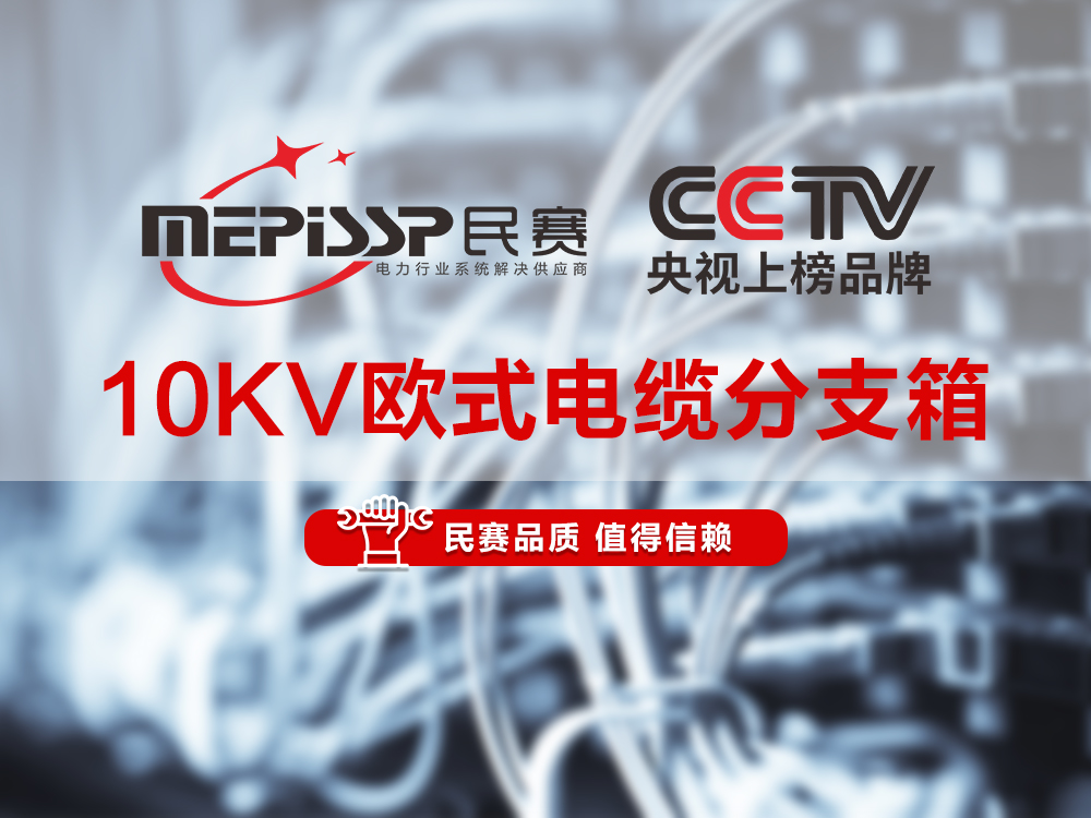 民賽電氣-10KV歐式電纜分支箱講解