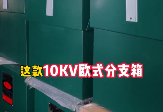 民賽電氣10kv歐式電纜分支箱