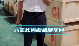 六氟化硫斷路器車間參觀