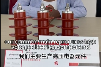 民賽電氣主要生產(chǎn)高壓電器元件