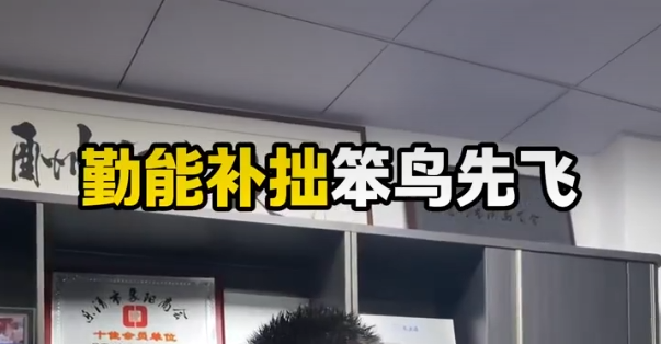 勤能補拙笨鳥先飛